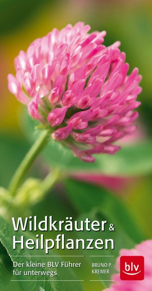 Buch: Wildkräuter & Heilpflanzen